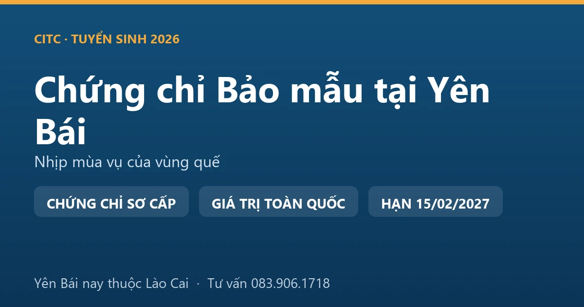 Lớp học chứng chỉ bảo mẫu cho người tại Yên Bái, học viên thực hành chăm sóc trẻ trong cơ sở giáo dục mầm non