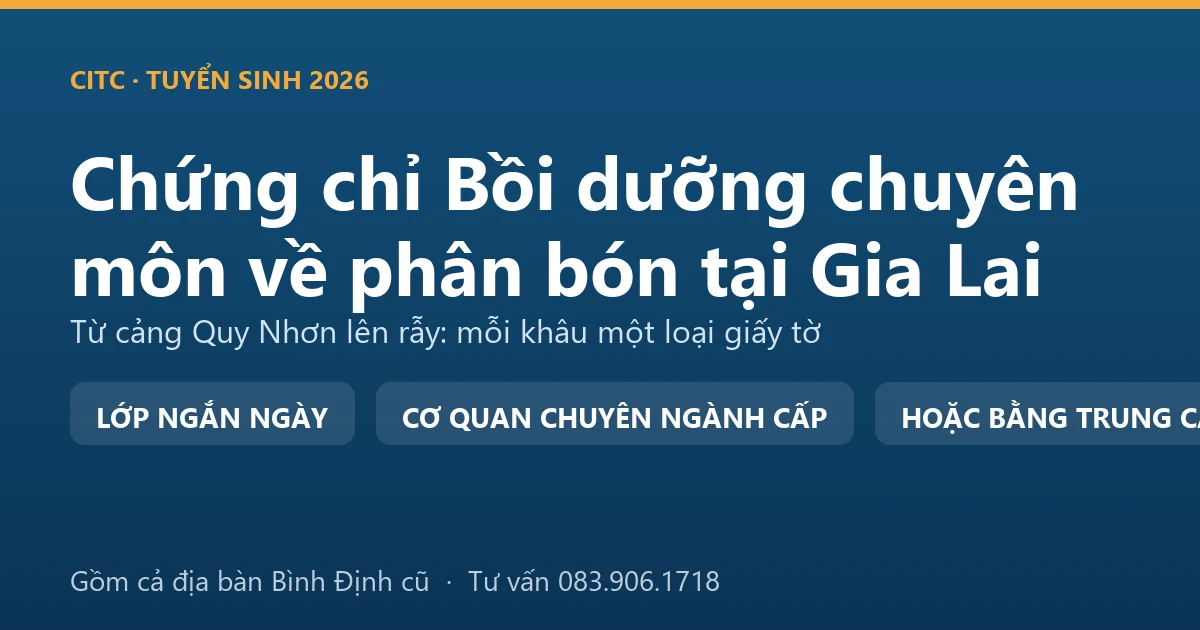 Nhân viên kho phân bón tại Gia Lai đối chiếu chứng từ lô hàng nhận từ cảng trước khi giao cho đại lý vùng rẫy