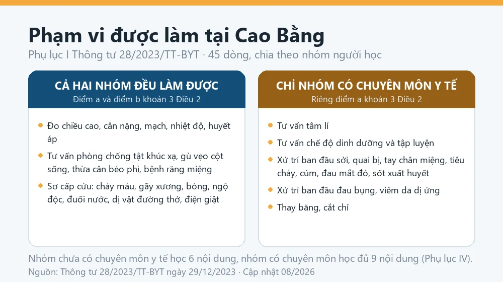 Sơ đồ phạm vi hoạt động của nhân viên y tế cơ sở giáo dục tại Cao Bằng theo Phụ lục I Thông tư 28/2023/TT-BYT, phân biệt nhóm có chuyên môn y tế và nhóm chưa có