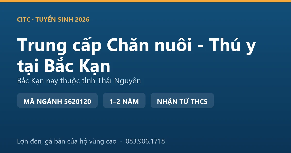 Học viên hệ trung cấp Chăn nuôi - Thú y tại địa bàn Bắc Kạn cũ thực hành kiểm tra đàn lợn đen bản địa của hộ vùng cao