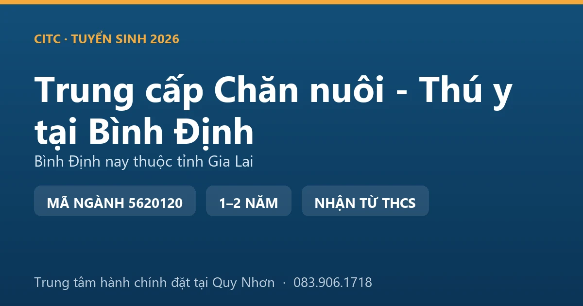 Học viên hệ trung cấp Chăn nuôi - Thú y tại địa bàn Bình Định cũ theo dõi đàn bò lai trong giai đoạn vỗ béo