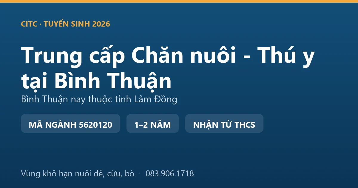 Học viên hệ trung cấp Chăn nuôi - Thú y tại địa bàn Bình Thuận cũ chăm sóc đàn dê nuôi vùng khô hạn