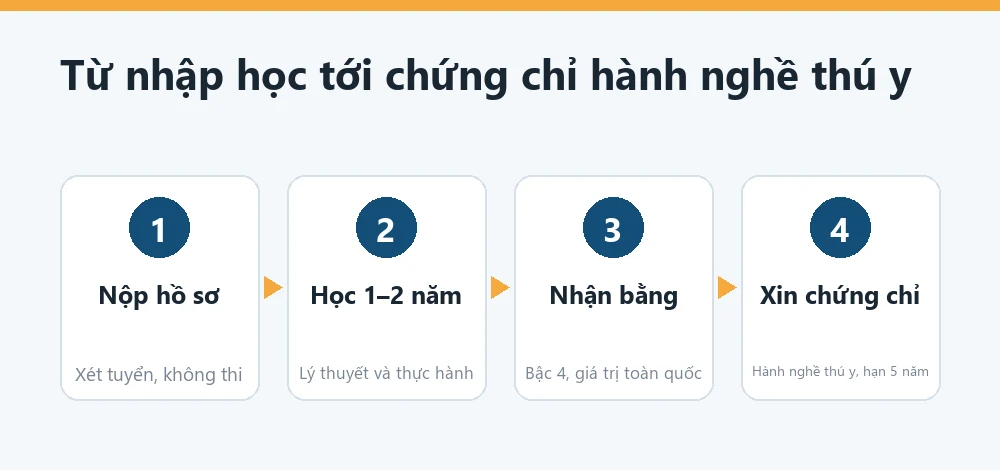 Sơ đồ lộ trình học trung cấp Chăn nuôi - Thú y: xét hồ sơ, học 1 đến 2 năm, thi tốt nghiệp, cấp bằng, xin chứng chỉ hành nghề