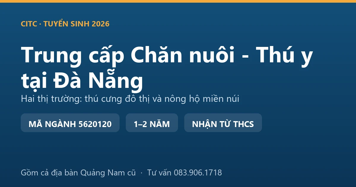 Học viên trung cấp Chăn nuôi - Thú y tại Đà Nẵng thực hành chăm sóc chó tại phòng khám thú y