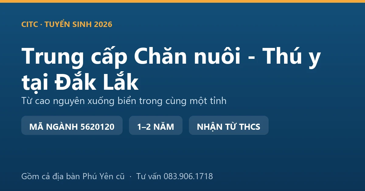 Học viên trung cấp Chăn nuôi - Thú y tại Đắk Lắk thực hành khám đàn bò thịt tại trang trại cao nguyên