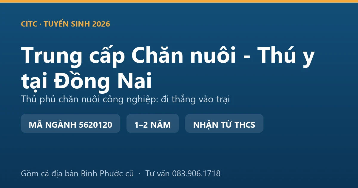 Học viên trung cấp Chăn nuôi - Thú y tại Đồng Nai thực hành theo dõi đàn heo trong trại kín