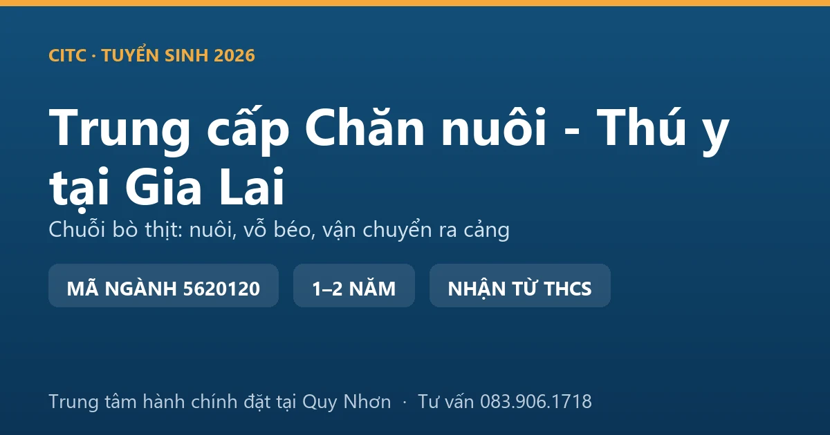 Học viên trung cấp Chăn nuôi - Thú y tại Gia Lai kiểm tra đàn bò thịt trước khi vận chuyển