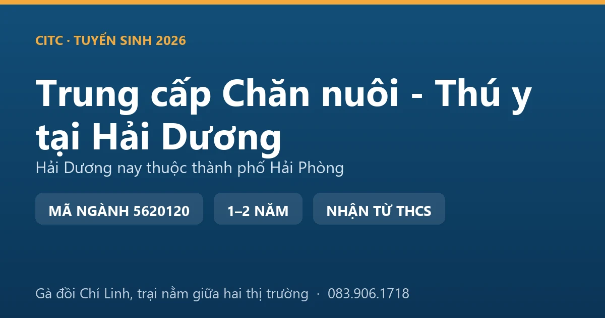 Học viên hệ trung cấp Chăn nuôi - Thú y tại địa bàn Hải Dương cũ thực hành kiểm tra đàn gà đồi nuôi thả trên vùng đồi