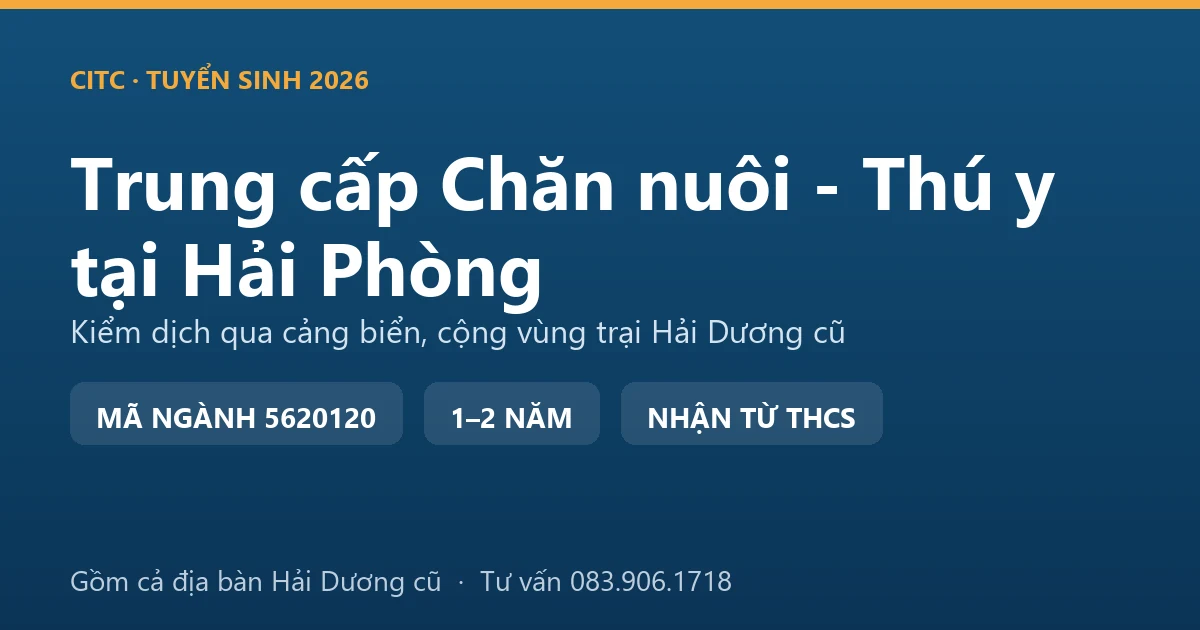 Học viên trung cấp Chăn nuôi - Thú y tại Hải Phòng thực hành kiểm tra hồ sơ kiểm dịch động vật tại khu vực cảng