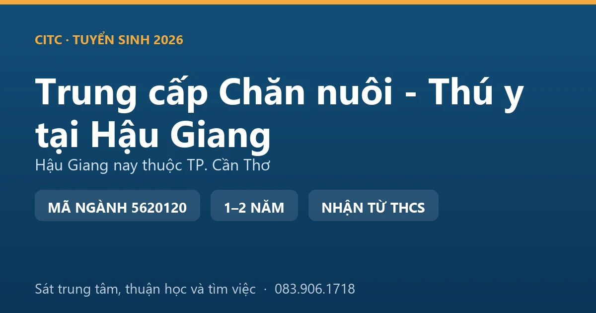 Học viên hệ trung cấp Chăn nuôi - Thú y tại địa bàn Hậu Giang cũ khám cho đàn heo nuôi quy mô hộ