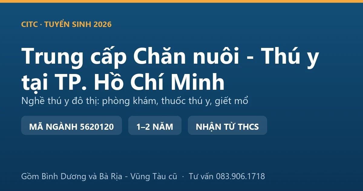 Học viên hệ trung cấp Chăn nuôi - Thú y tại TP. Hồ Chí Minh thực hành khám lâm sàng cho chó