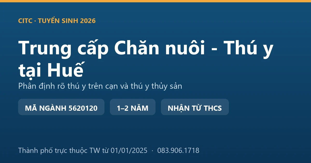 Học viên trung cấp Chăn nuôi - Thú y tại Huế thực hành kiểm tra đàn bò nuôi ở vùng gò đồi phía tây thành phố