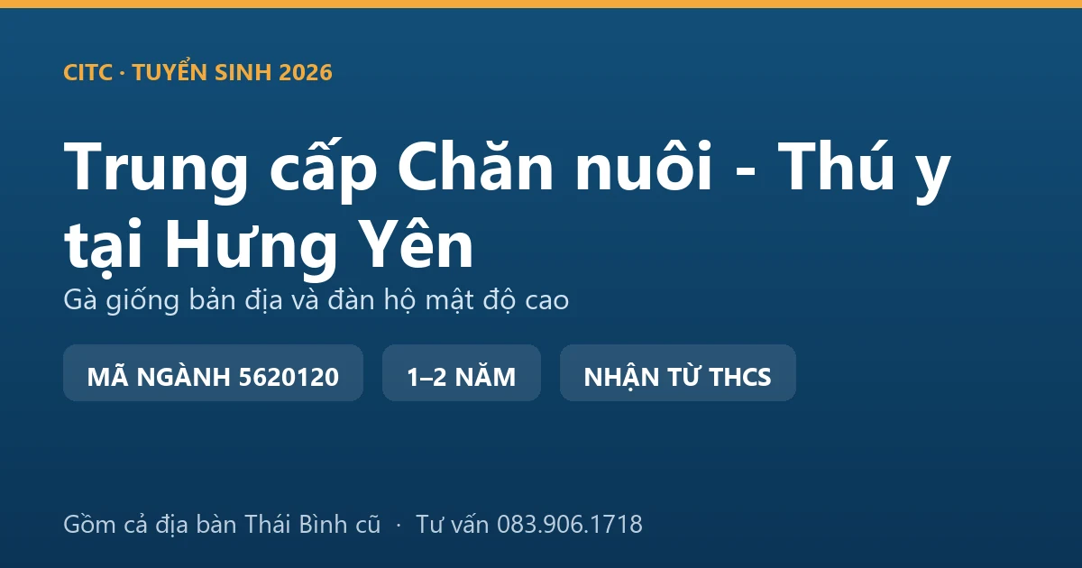 Học viên trung cấp Chăn nuôi - Thú y tại Hưng Yên thực hành chăm sóc đàn gà Đông Tảo tại hộ nuôi giống