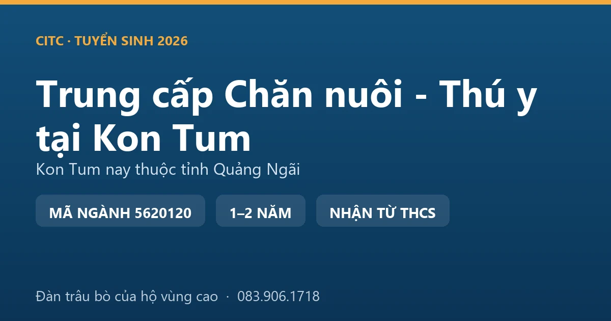 Học viên hệ trung cấp Chăn nuôi - Thú y tại địa bàn Kon Tum cũ tiêm phòng cho đàn trâu bò của hộ vùng cao