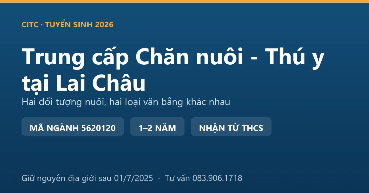 Học viên trung cấp Chăn nuôi - Thú y tại Lai Châu thực hành kiểm tra đàn trâu của hộ nuôi ở xã vùng cao