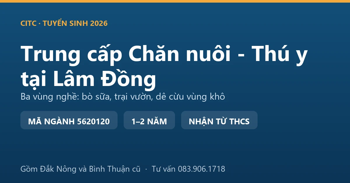 Học viên trung cấp Chăn nuôi - Thú y tại Lâm Đồng thực hành kiểm tra đàn bò sữa trong chuồng