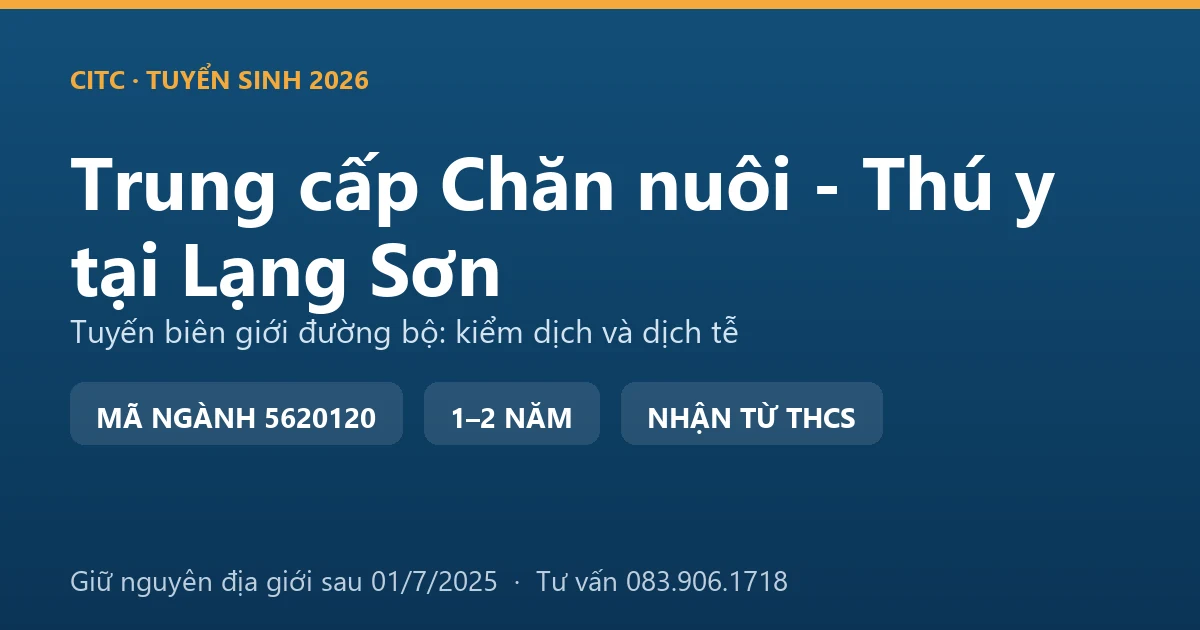 Học viên trung cấp Chăn nuôi - Thú y tại Lạng Sơn thực hành kiểm tra hồ sơ kiểm dịch động vật tại khu vực cửa khẩu