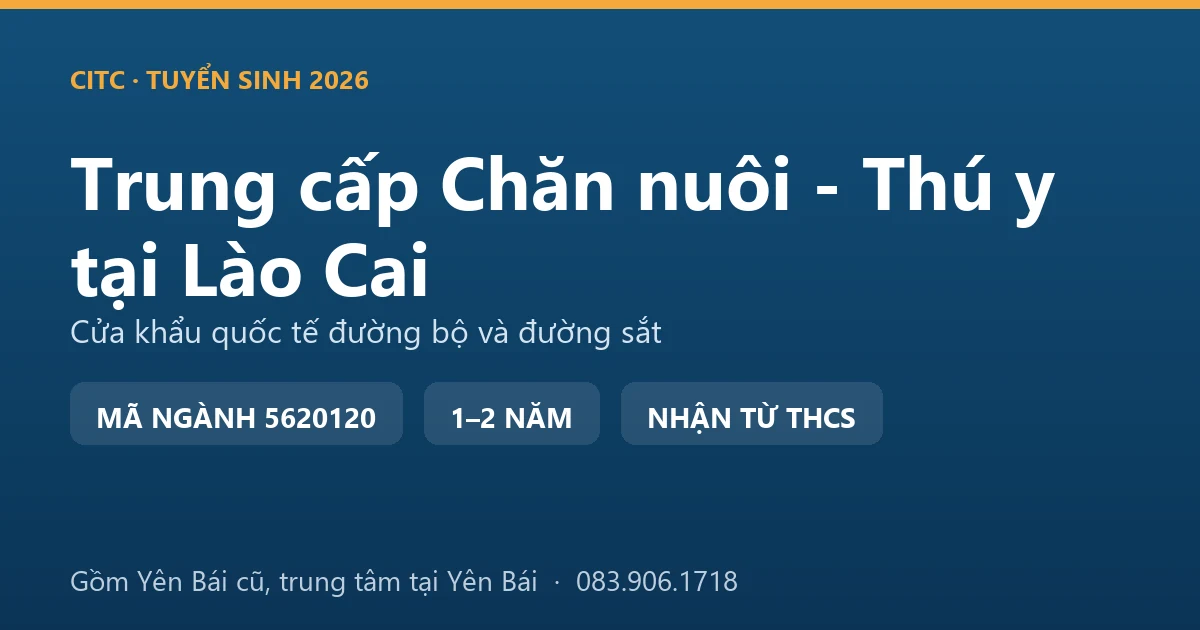 Học viên trung cấp Chăn nuôi - Thú y tại Lào Cai thực hành kiểm tra đàn trâu của hộ nuôi vùng cao