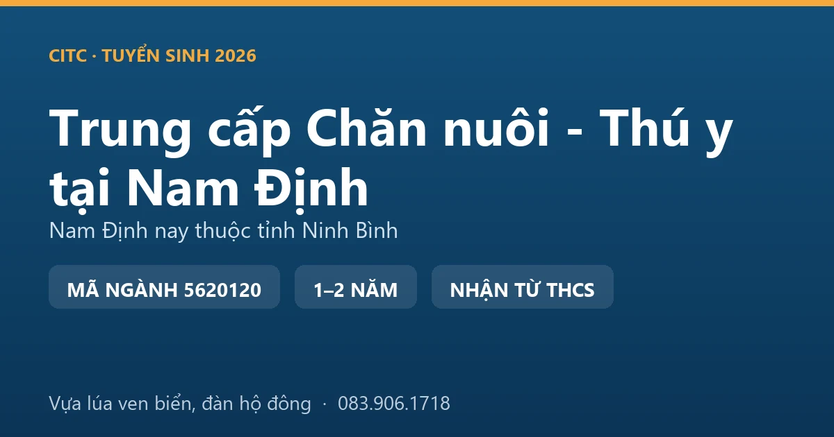 Học viên hệ trung cấp Chăn nuôi - Thú y tại địa bàn Nam Định cũ thực hành kiểm tra đàn lợn của hộ nuôi vùng lúa
