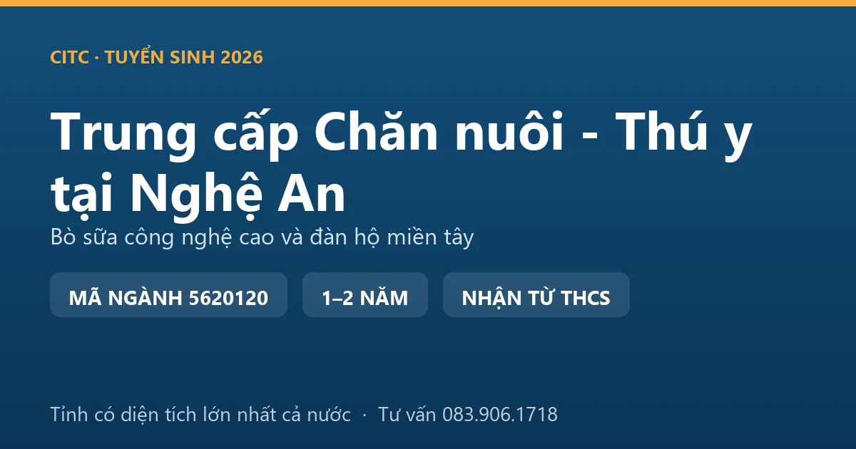 Học viên trung cấp Chăn nuôi - Thú y tại Nghệ An thực hành theo dõi đàn bò sữa trong trang trại công nghệ cao