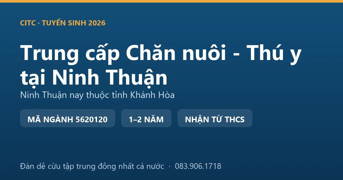 Học viên hệ trung cấp Chăn nuôi - Thú y tại địa bàn Ninh Thuận cũ kiểm tra đàn cừu nuôi chăn thả