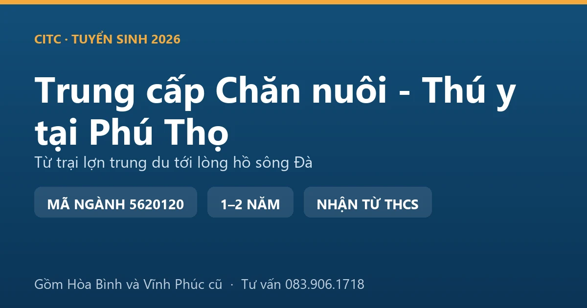 Học viên trung cấp Chăn nuôi - Thú y tại Phú Thọ thực hành kiểm tra đàn lợn tại trại nuôi vùng trung du