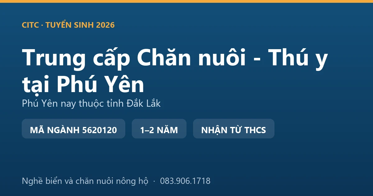 Học viên hệ trung cấp Chăn nuôi - Thú y tại địa bàn Phú Yên cũ chăm sóc đàn bò của hộ nuôi vùng ven biển