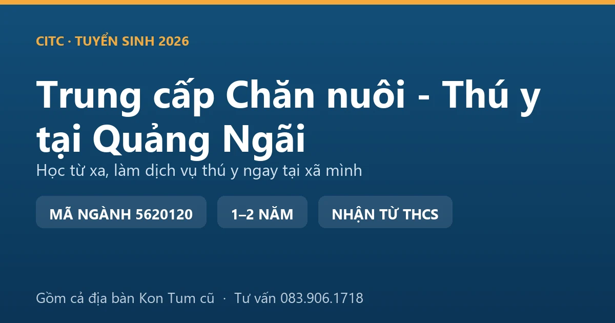 Học viên trung cấp Chăn nuôi - Thú y tại Quảng Ngãi tiêm phòng cho đàn bò của hộ gia đình vùng cao