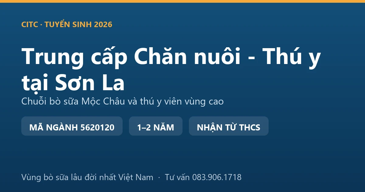 Học viên trung cấp Chăn nuôi - Thú y tại Sơn La thực hành theo dõi đàn bò sữa trên cao nguyên Mộc Châu
