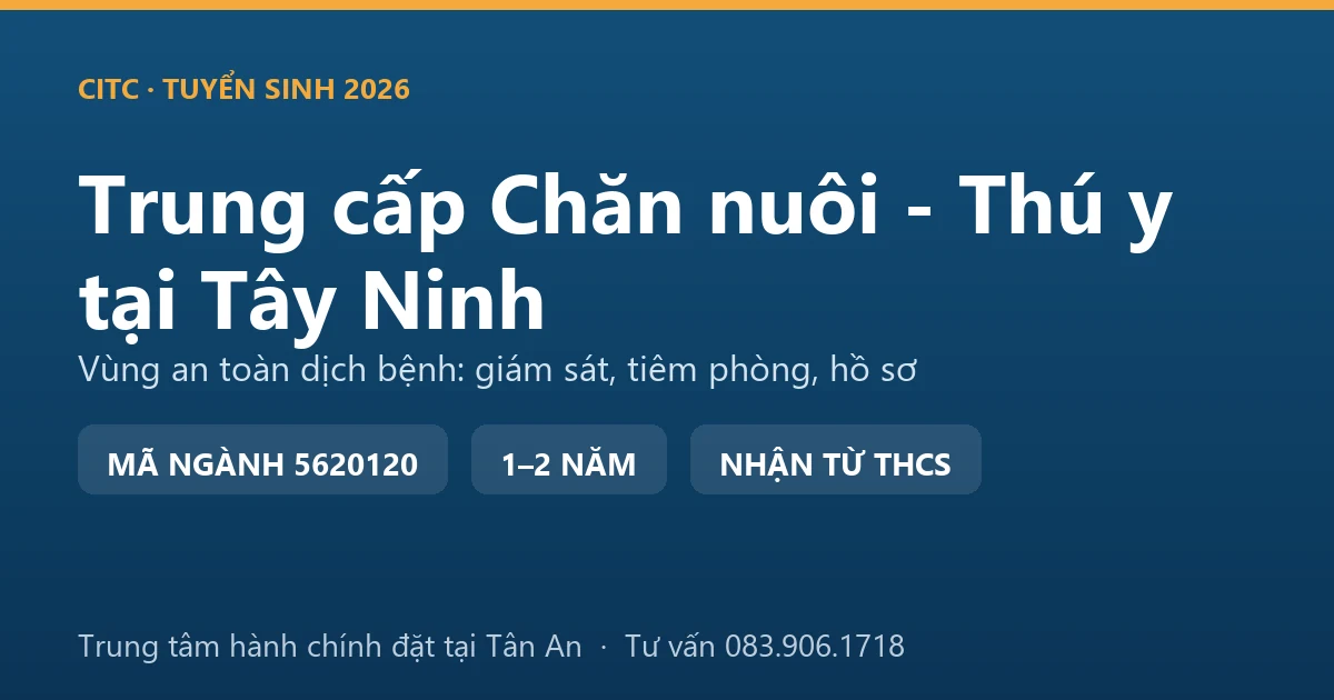 Học viên trung cấp Chăn nuôi - Thú y tại Tây Ninh kiểm tra đàn gà trong trại lạnh khép kín