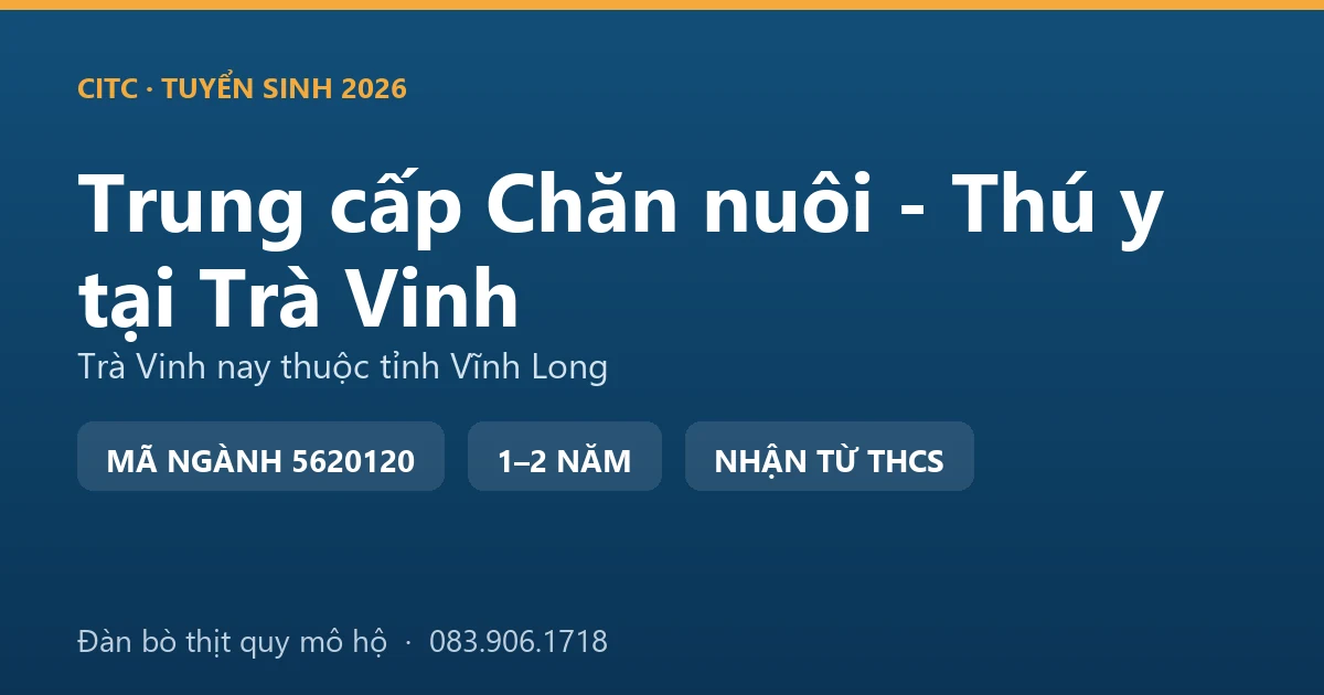 Học viên hệ trung cấp Chăn nuôi - Thú y tại địa bàn Trà Vinh cũ khám cho đàn bò thịt nuôi hộ gia đình