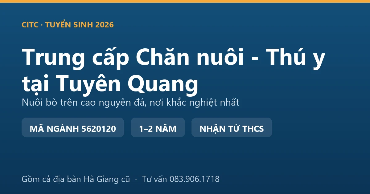 Học viên trung cấp Chăn nuôi - Thú y tại Tuyên Quang thực hành kiểm tra đàn bò vàng nuôi nhốt trên vùng cao nguyên đá