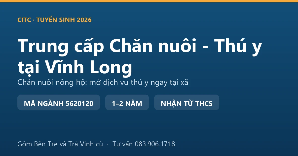 Học viên trung cấp Chăn nuôi - Thú y tại Vĩnh Long khám cho đàn bò thịt nuôi tại hộ gia đình