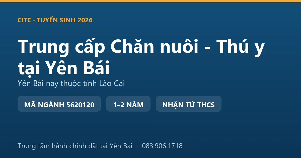 Học viên hệ trung cấp Chăn nuôi - Thú y tại địa bàn Yên Bái cũ thực hành kiểm tra đàn trâu của hộ nuôi vùng cao