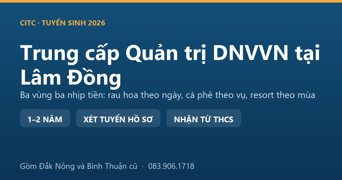 Người điều hành cơ sở nông sản tại Lâm Đồng lập kế hoạch dòng tiền cho ba vùng sản xuất trong tỉnh