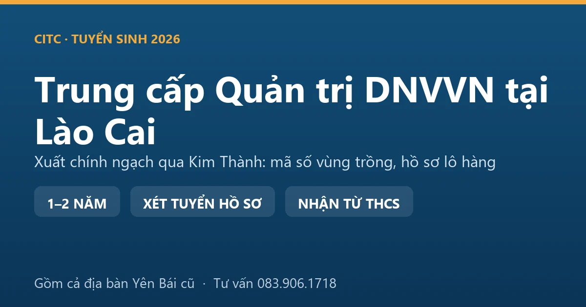 Học viên trung cấp Quản trị doanh nghiệp vừa và nhỏ tại Lào Cai rà hồ sơ lô hàng nông sản xuất khẩu