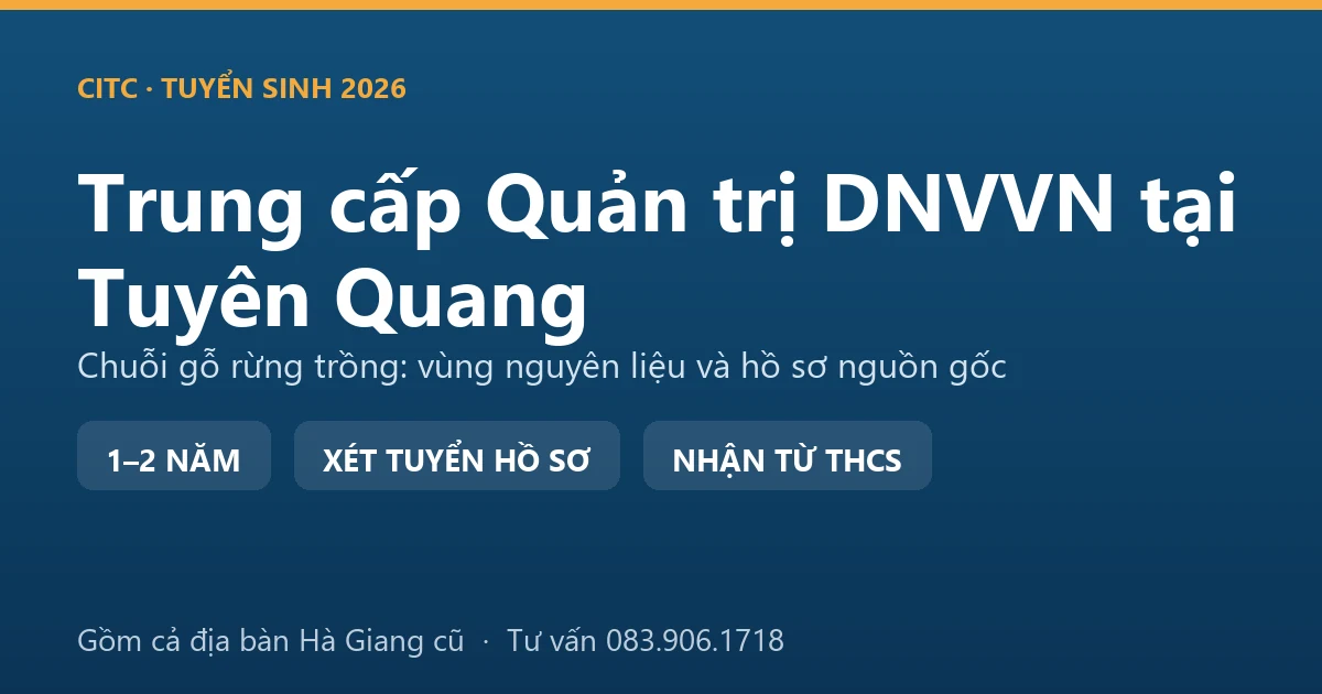 Học viên trung cấp Quản trị doanh nghiệp vừa và nhỏ tại Tuyên Quang kiểm tra hồ sơ nguồn gốc gỗ rừng trồng