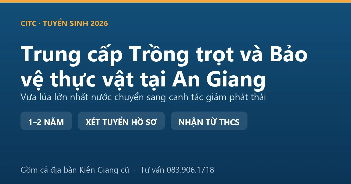 Học viên trung cấp Trồng trọt và Bảo vệ thực vật tại An Giang kiểm tra sâu bệnh trên ruộng lúa