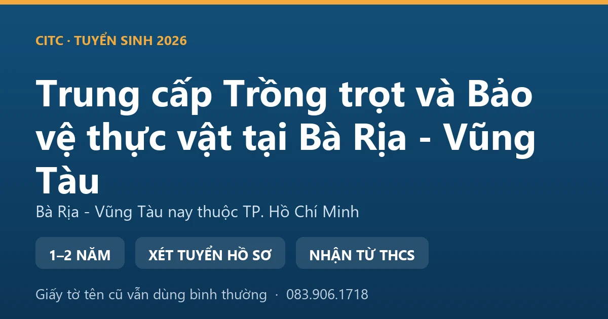 Người canh tác tại địa bàn Bà Rịa - Vũng Tàu cũ kiểm tra vườn hồ tiêu