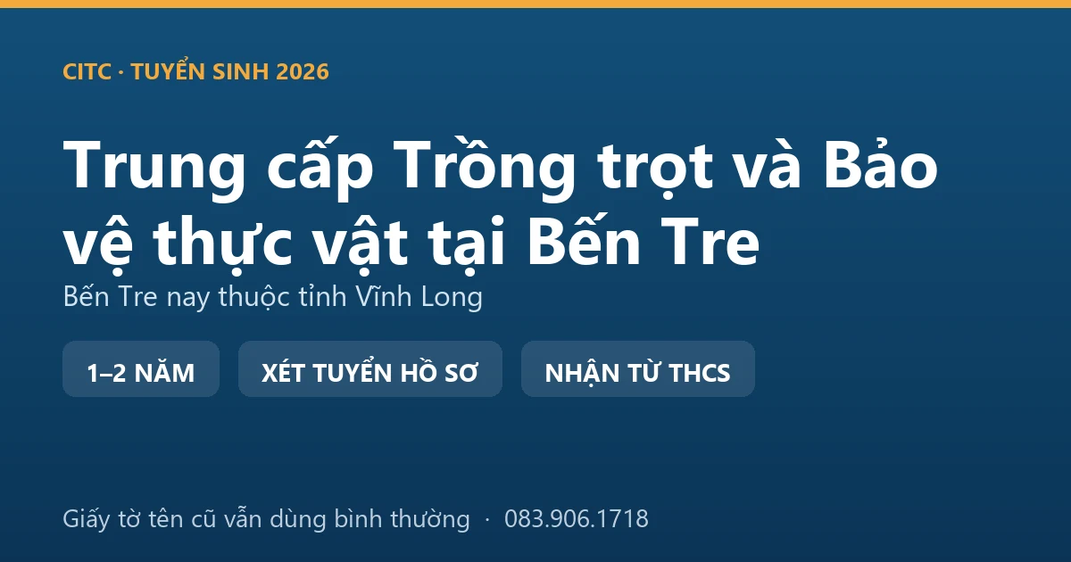 Người làm vườn tại địa bàn Bến Tre cũ kiểm tra tàu lá dừa nhiễm sâu đầu đen