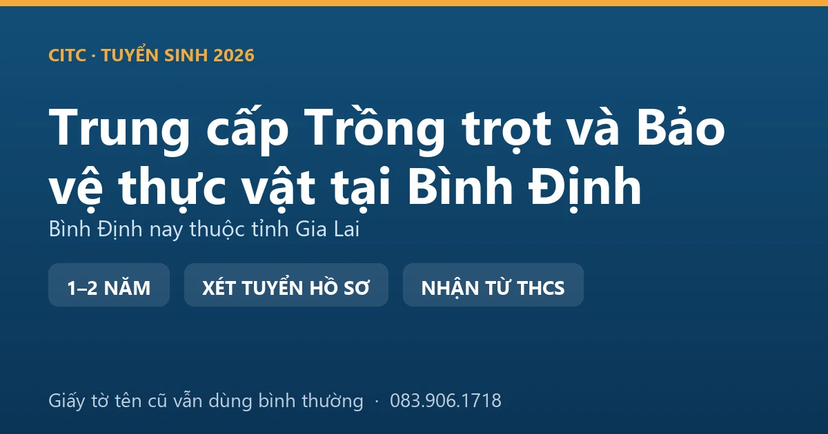 Người canh tác tại địa bàn Bình Định cũ kiểm tra ruộng lúa vùng đồng bằng ven biển