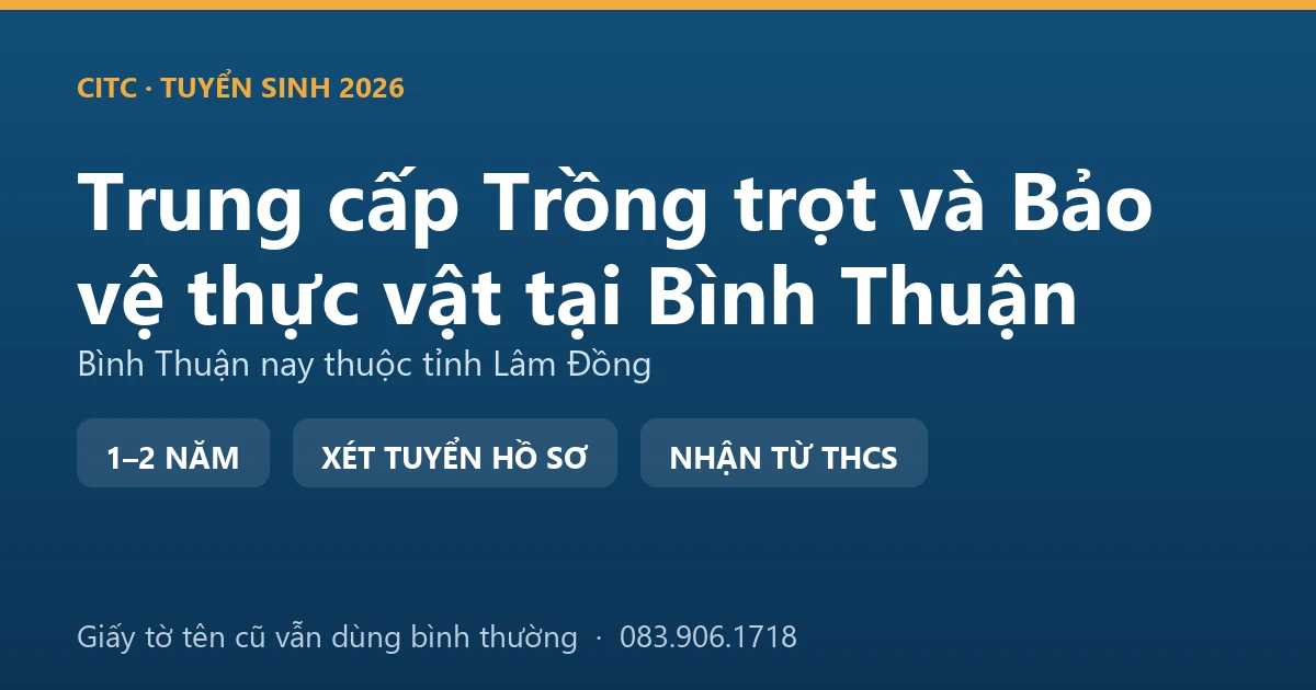 Nhà vườn tại địa bàn Bình Thuận cũ kiểm tra cành thanh long trên trụ