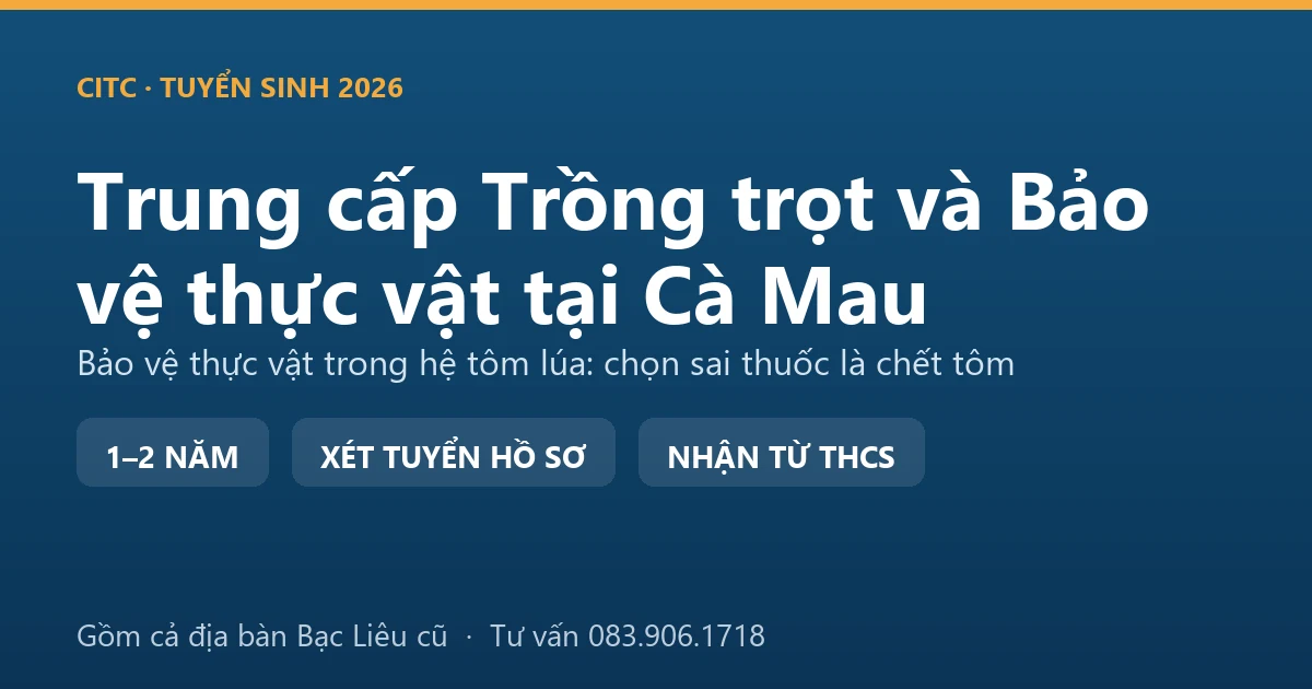 Học viên trung cấp Trồng trọt và Bảo vệ thực vật tại Cà Mau khảo sát ruộng lúa trong mô hình lúa tôm