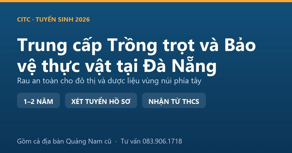 Học viên trung cấp Trồng trọt và Bảo vệ thực vật tại Đà Nẵng thực hành tại vùng rau an toàn