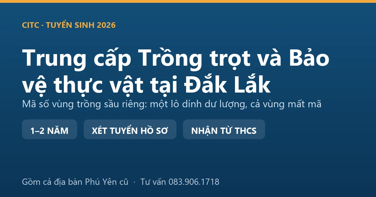 Học viên trung cấp Trồng trọt và Bảo vệ thực vật tại Đắk Lắk kiểm tra sâu bệnh trong vườn cà phê xen sầu riêng