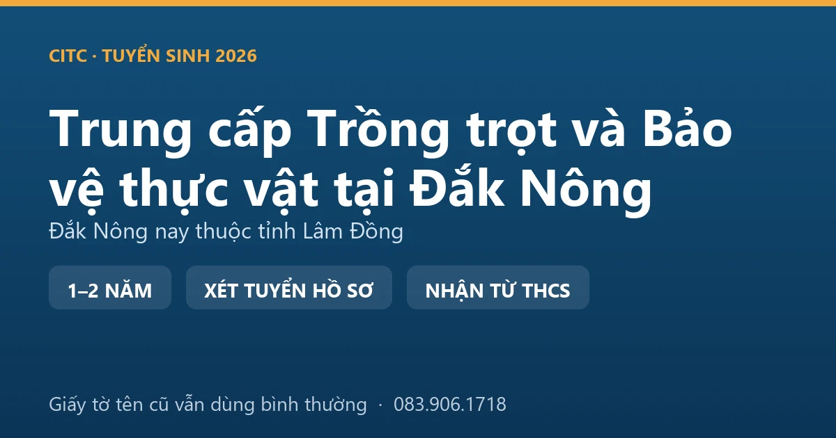 Người canh tác tại địa bàn Đắk Nông cũ đào kiểm tra bộ rễ trong vườn hồ tiêu