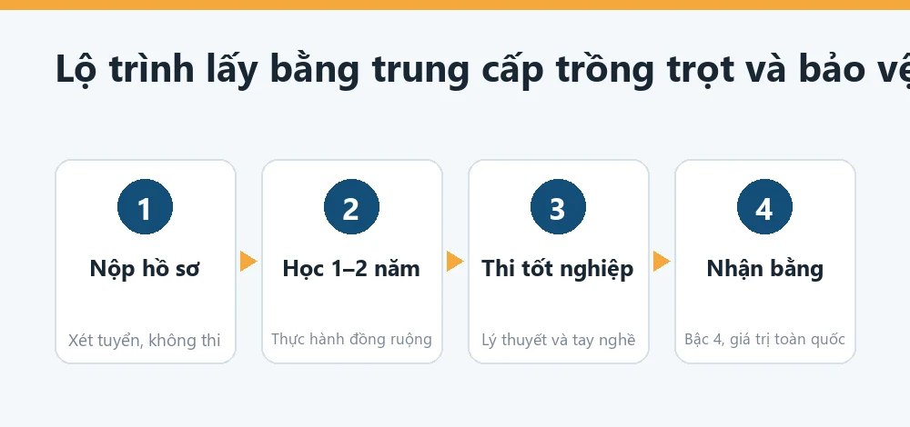 Sơ đồ lộ trình học trung cấp Trồng trọt và Bảo vệ thực vật: xét hồ sơ, học 1 đến 2 năm, thi tốt nghiệp, cấp bằng