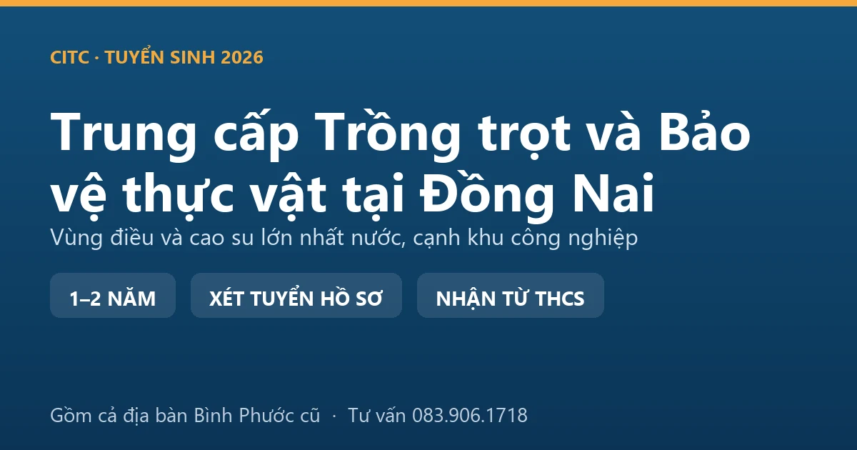 Học viên trung cấp Trồng trọt và Bảo vệ thực vật tại Đồng Nai thực hành kiểm tra sâu bệnh trong vườn điều
