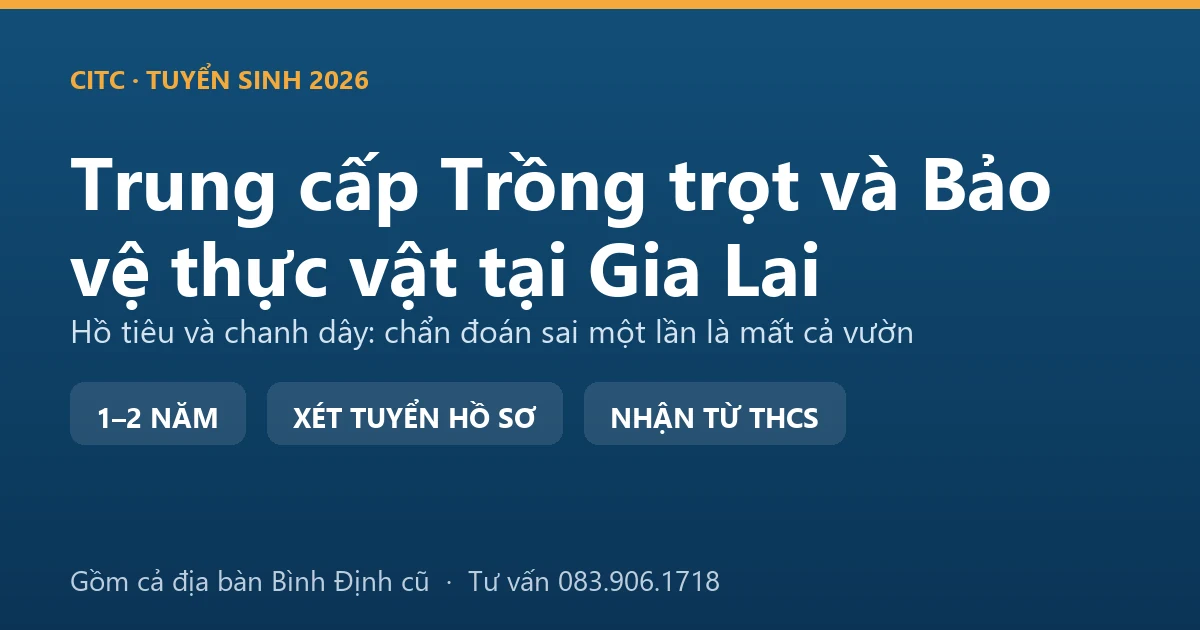 Học viên trung cấp Trồng trọt và Bảo vệ thực vật tại Gia Lai kiểm tra bộ rễ vườn hồ tiêu