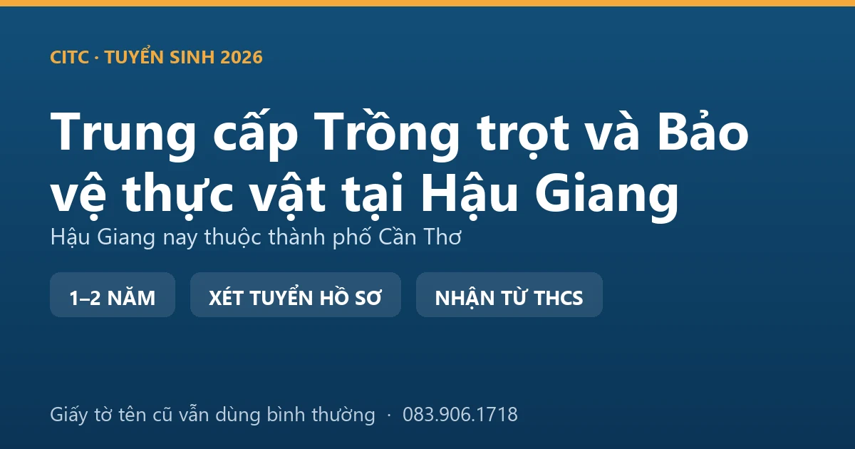 Người canh tác tại địa bàn Hậu Giang cũ kiểm tra ruộng mía nguyên liệu